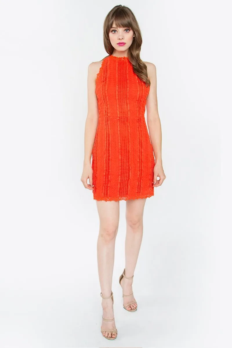 Arabelle Crochet Lace Dress