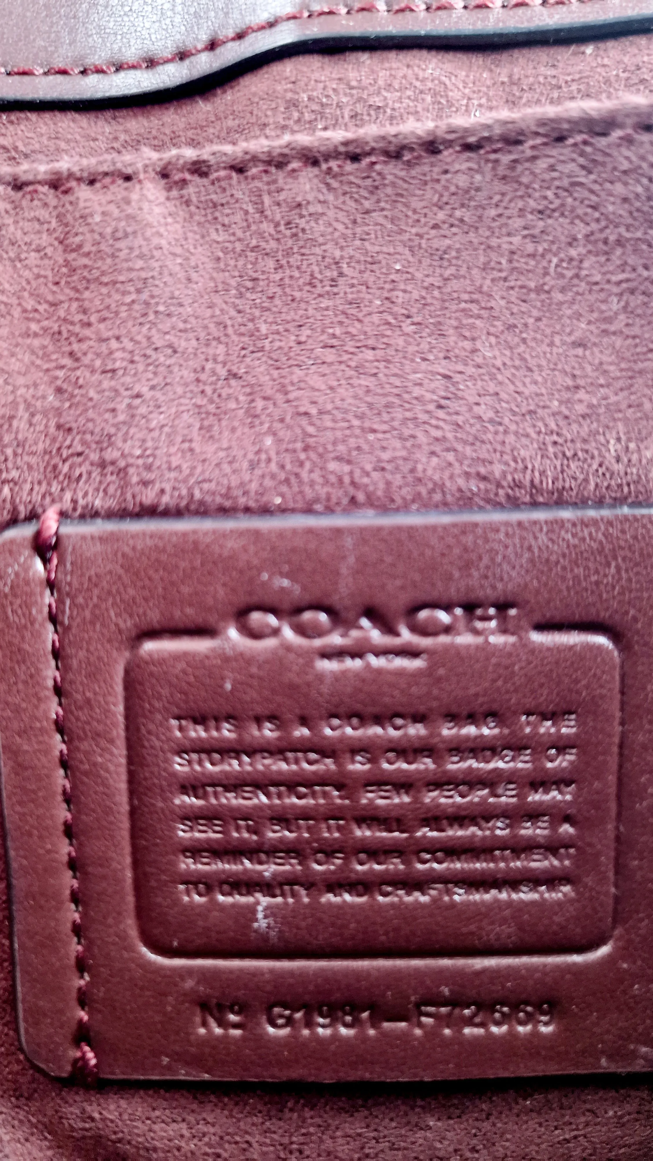 Coach Cassidy Crossbody Bag in Pink Lizard Embossed Leather - Coach F72669