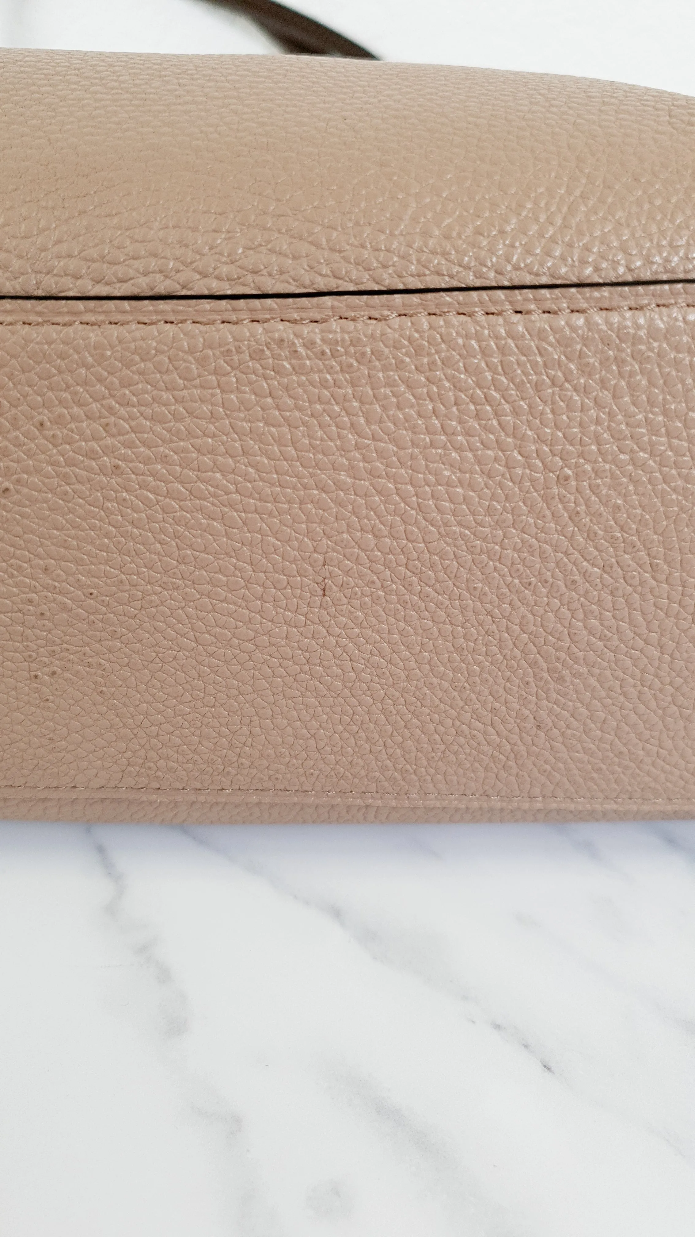 Coach Edie 31 in Stone Taupe with Genuine Snakeskin Colorblock Pebble Leather - Shoulder Bag Coach 57670