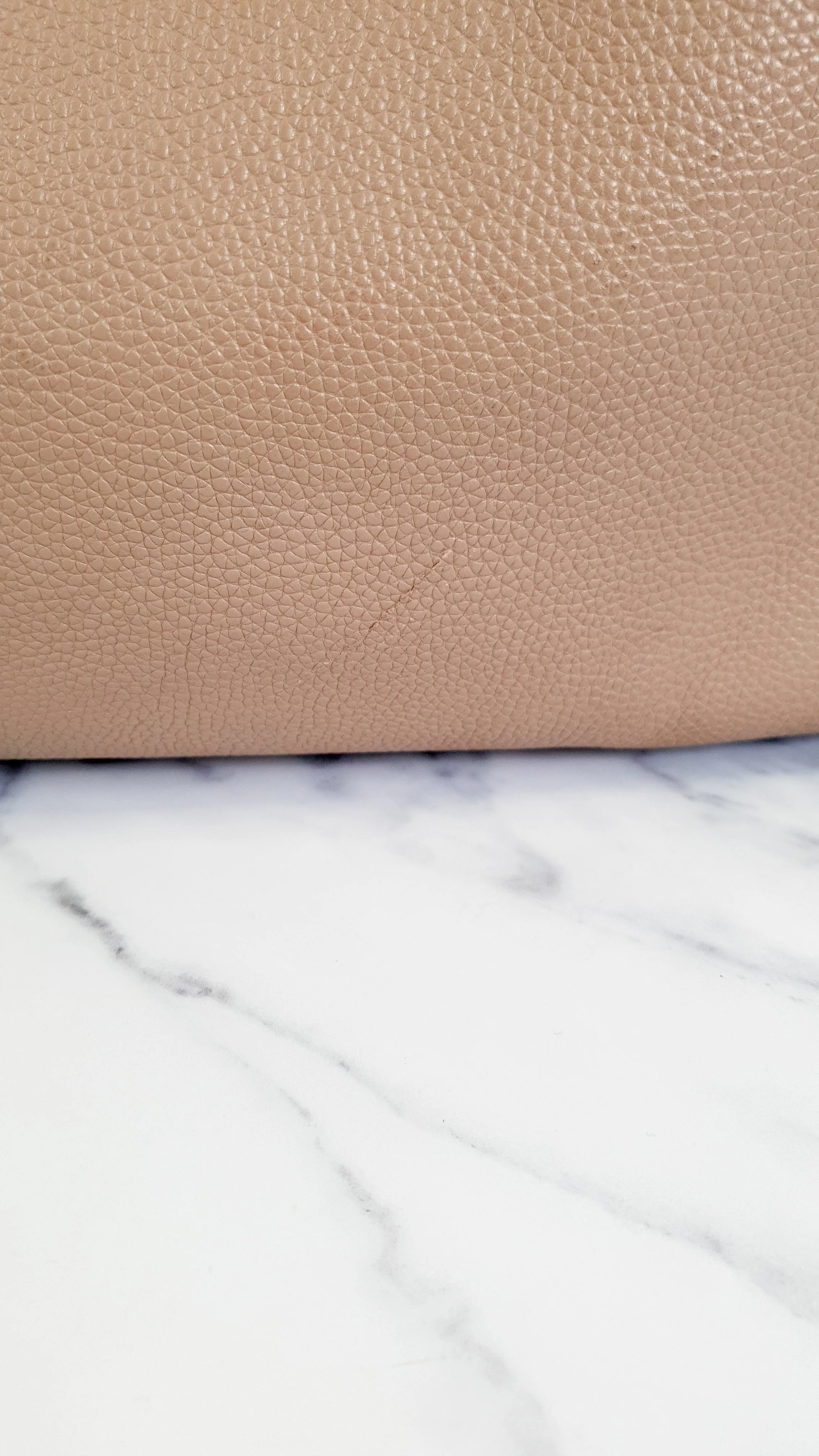 Coach Edie 31 in Stone Taupe with Genuine Snakeskin Colorblock Pebble Leather - Shoulder Bag Coach 57670