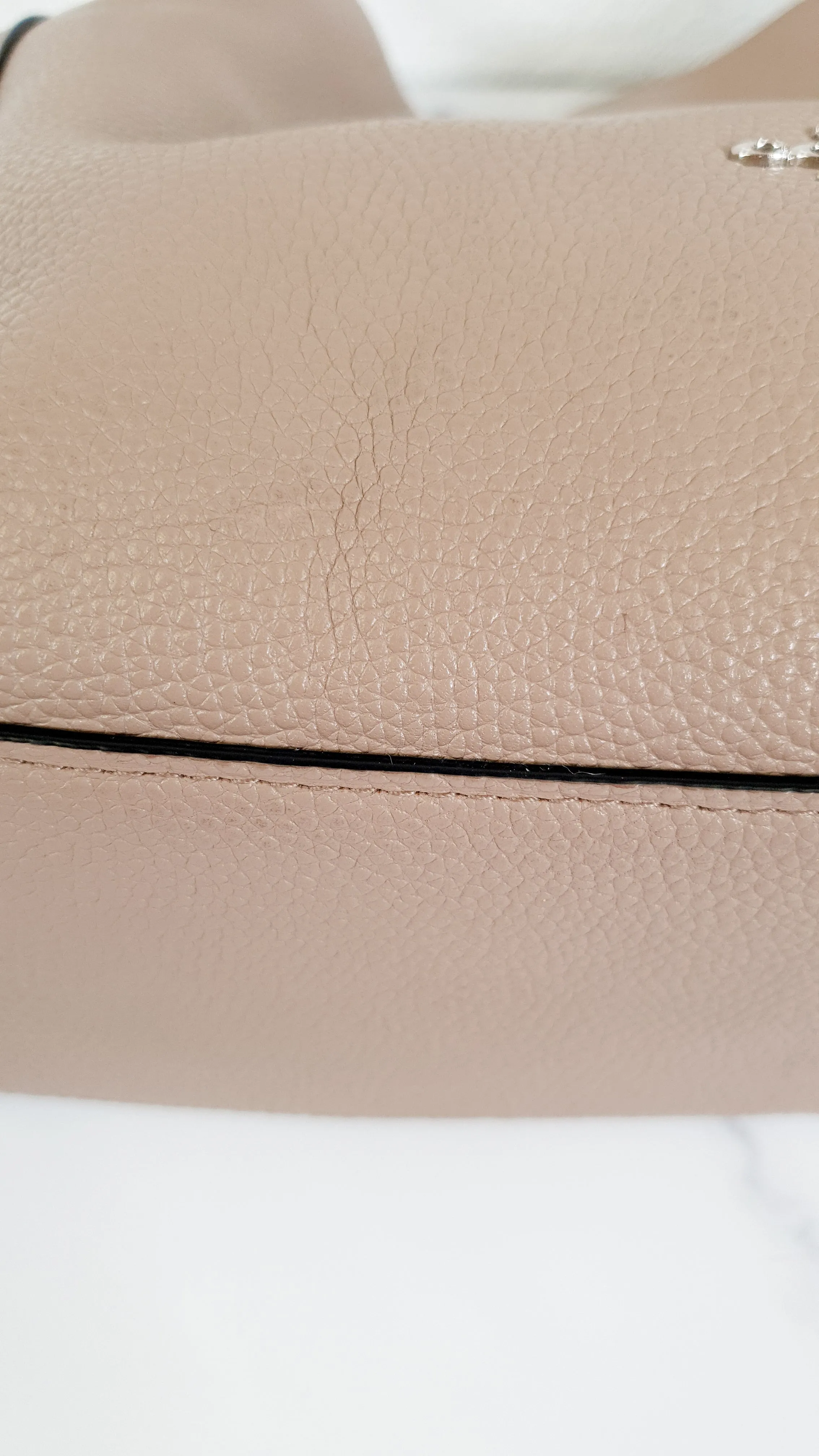 Coach Edie 31 in Stone Taupe with Genuine Snakeskin Colorblock Pebble Leather - Shoulder Bag Coach 57670