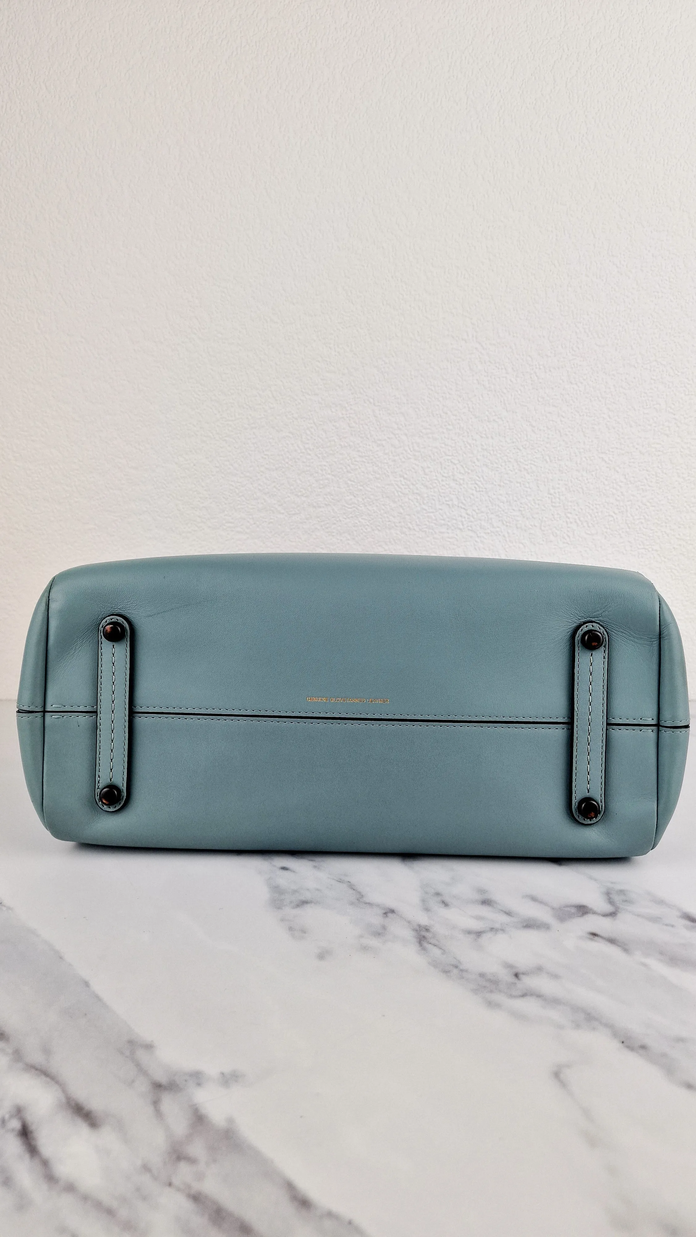 Coach Mason Carryall in Sage Pale Blue Green Smooth Leather Snakeskin Handbag - Coach 38717
