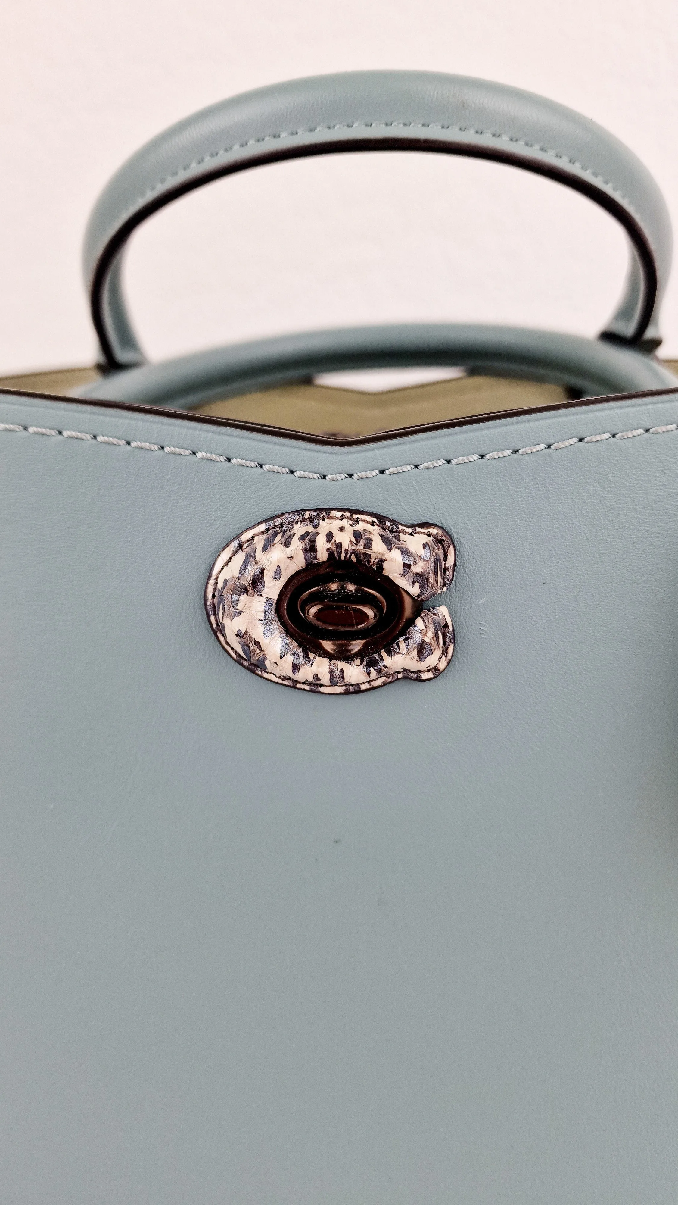 Coach Mason Carryall in Sage Pale Blue Green Smooth Leather Snakeskin Handbag - Coach 38717