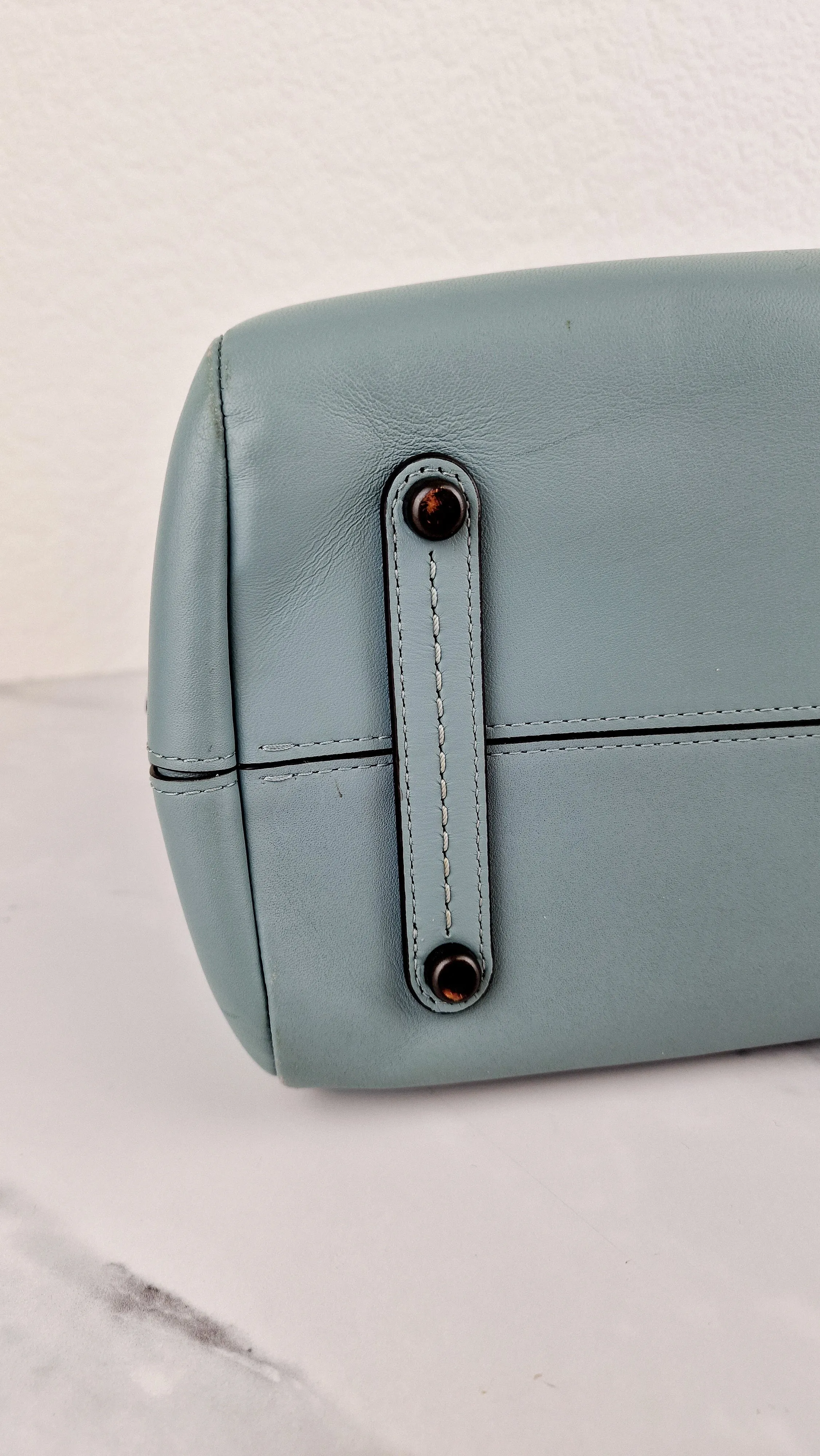 Coach Mason Carryall in Sage Pale Blue Green Smooth Leather Snakeskin Handbag - Coach 38717