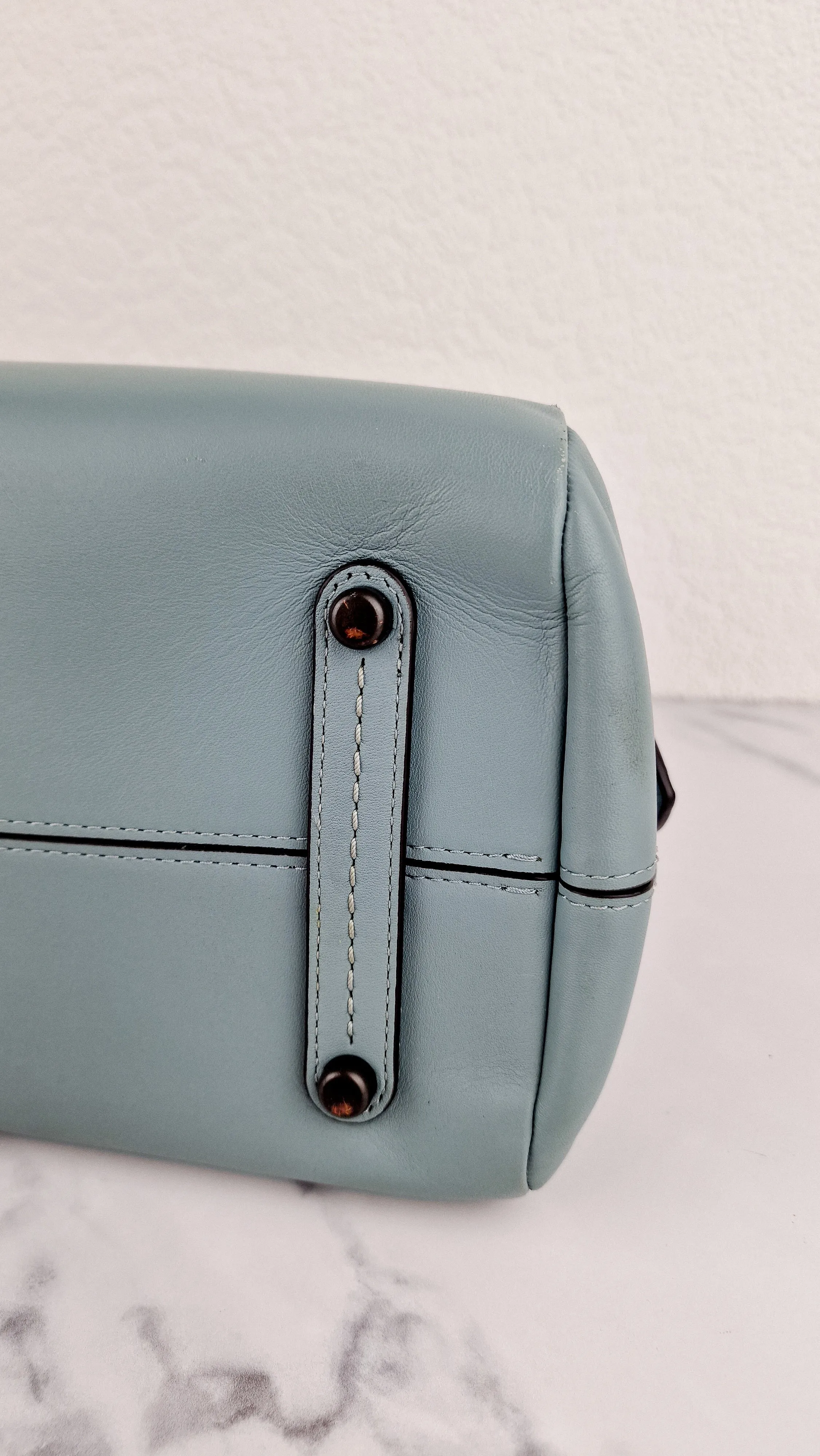 Coach Mason Carryall in Sage Pale Blue Green Smooth Leather Snakeskin Handbag - Coach 38717