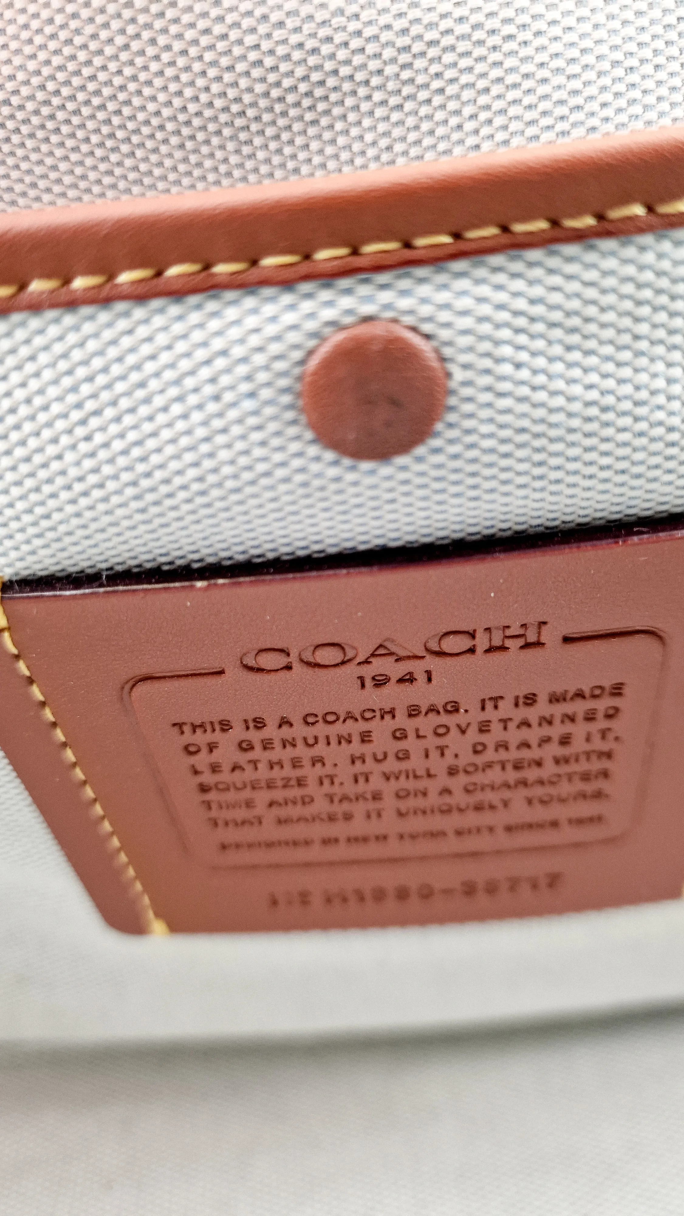 Coach Mason Carryall in Sage Pale Blue Green Smooth Leather Snakeskin Handbag - Coach 38717