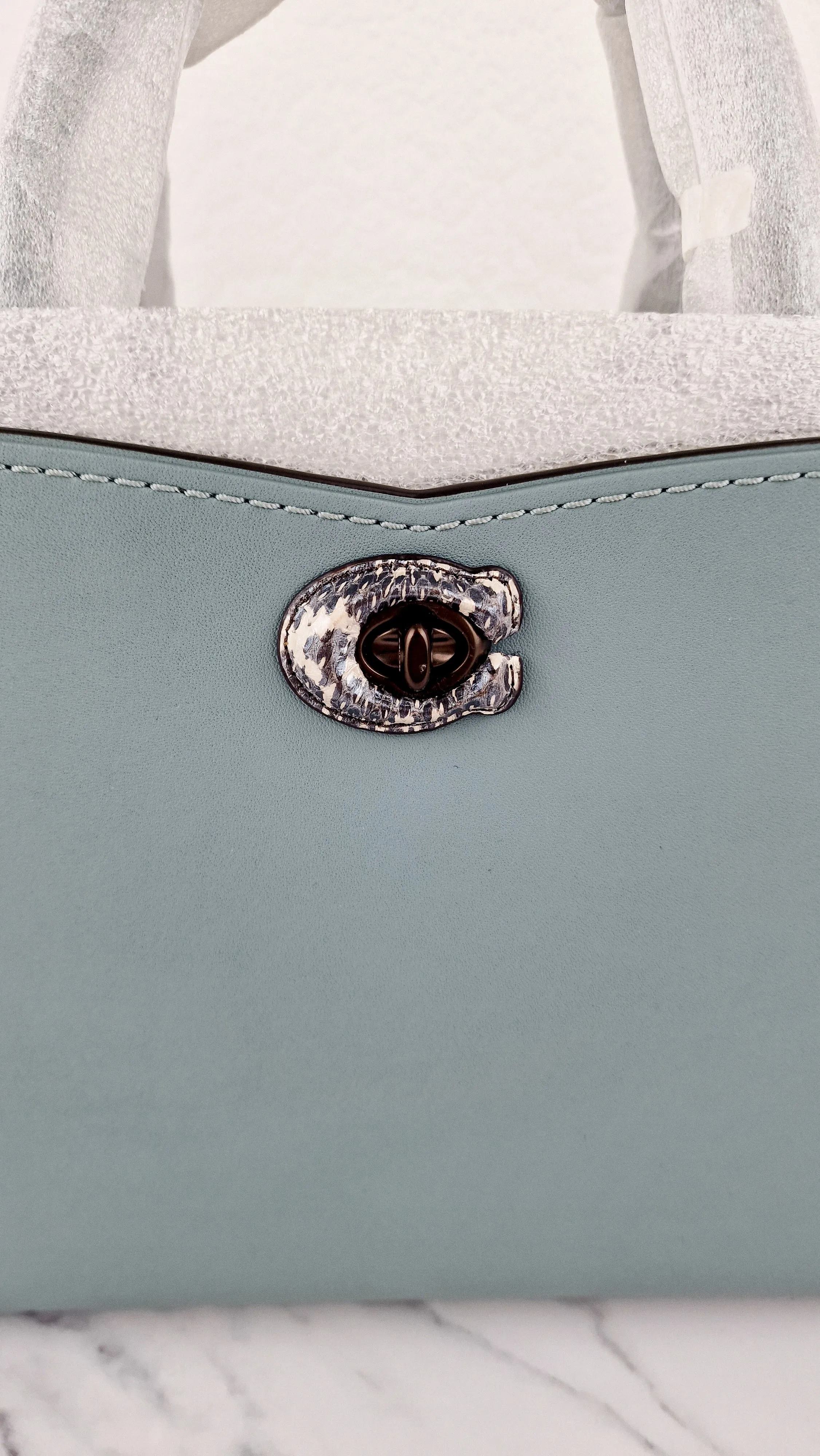 Coach Mason Carryall in Sage Pale Blue Green Smooth Leather with Snakeskin C Turnlock - Coach 38717 - Handbag