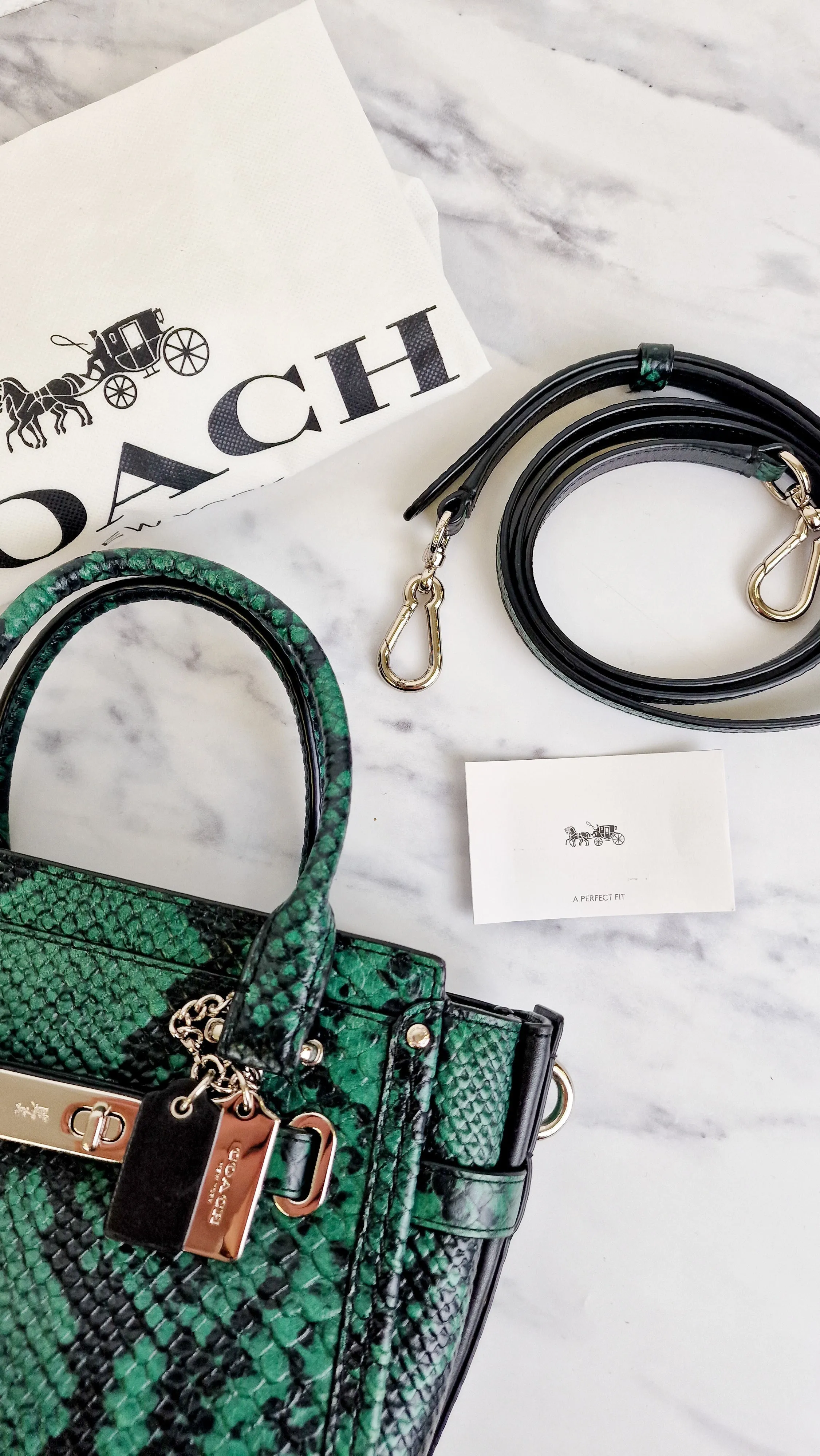 Coach Swagger 21 in Green & Black Snake Print - Handbag Crossbody Bag - Coach 38360