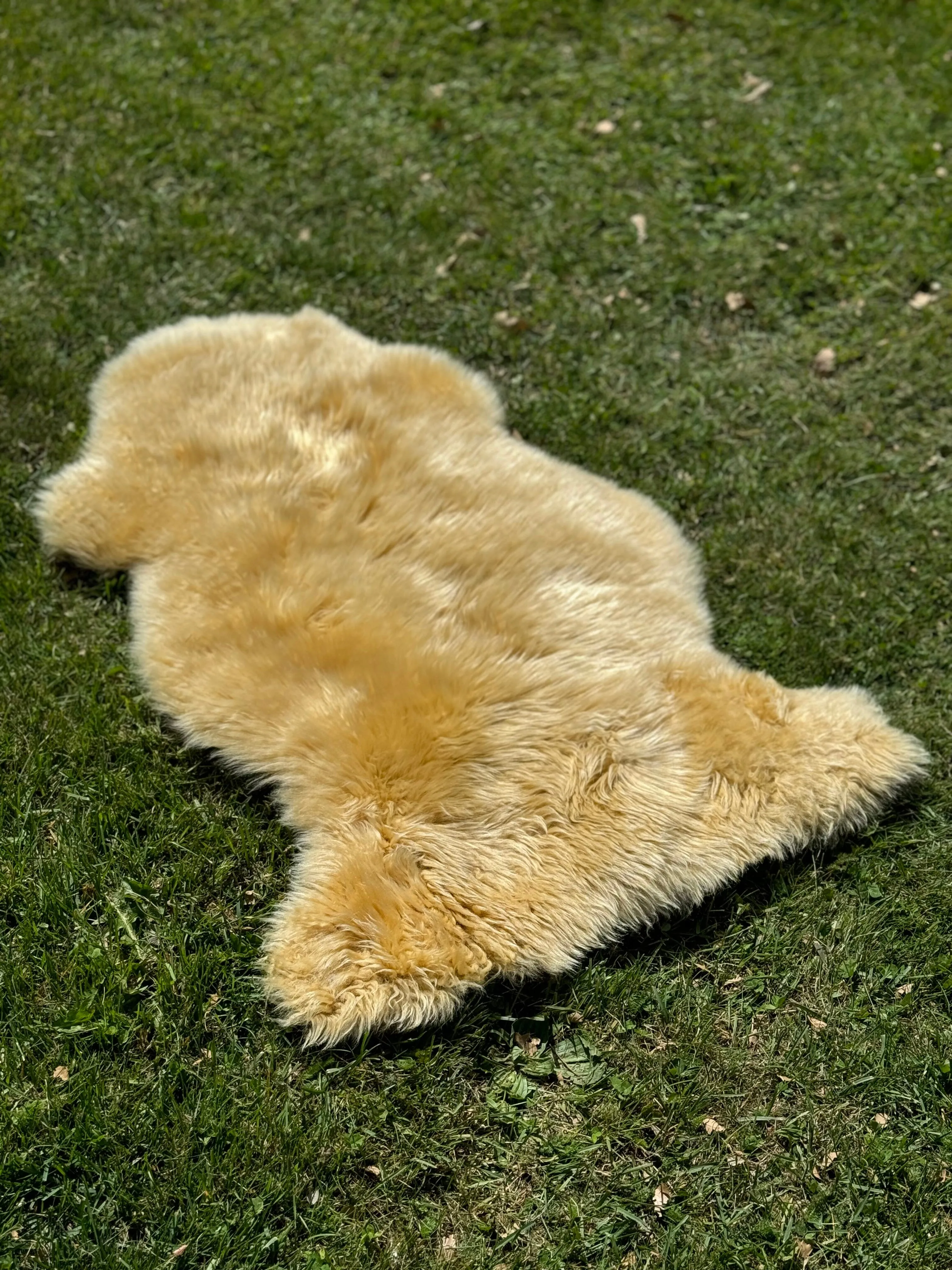 Deluxe Sheepskin Clearance Rugs