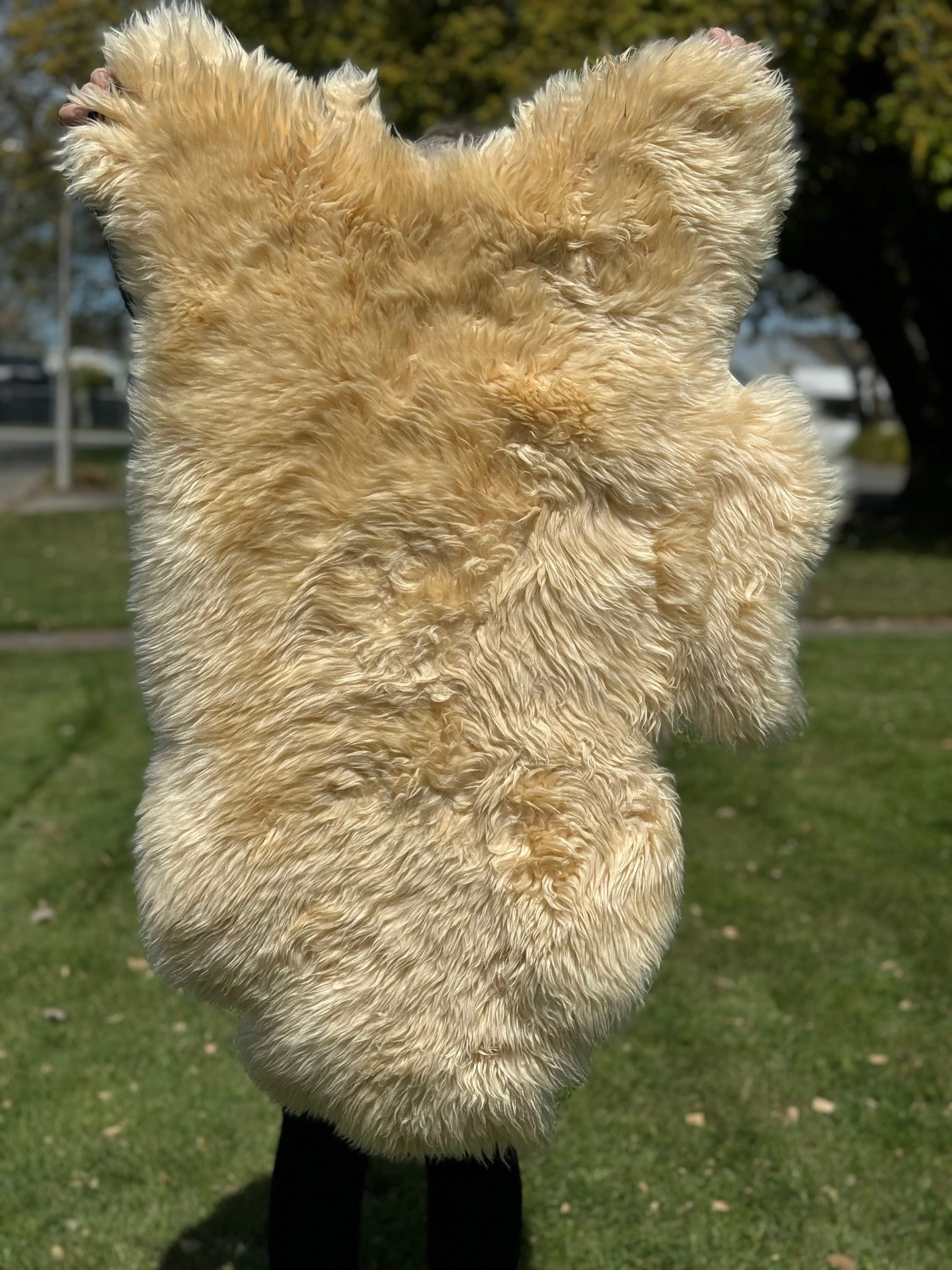 Deluxe Sheepskin Clearance Rugs