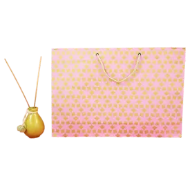 Devraaj Eco-friendly Handmade paper Bags (Pink)  set of 10 bags