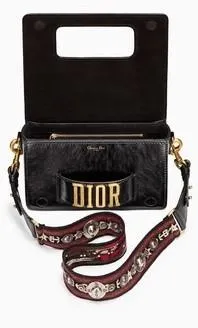 Dio(r)evolution Flap Bag