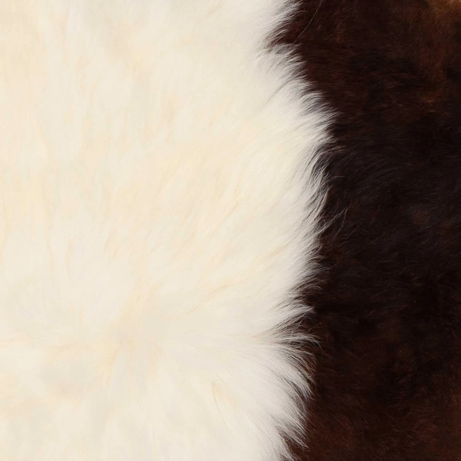 Himalayan Natural Piebald Sheepskin