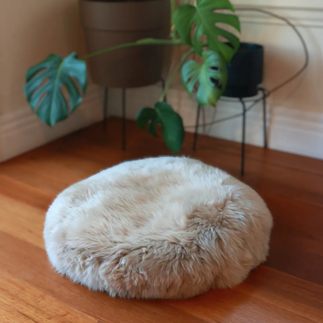 Pet Bed