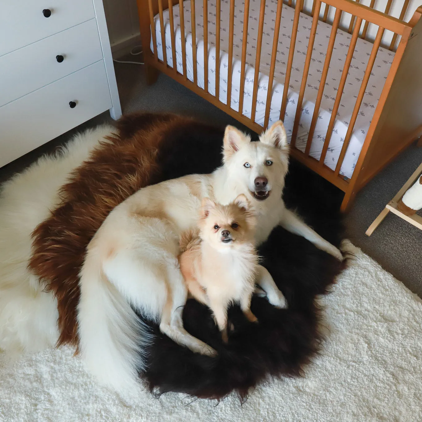 Premium Natural Icelandic Sheepskins