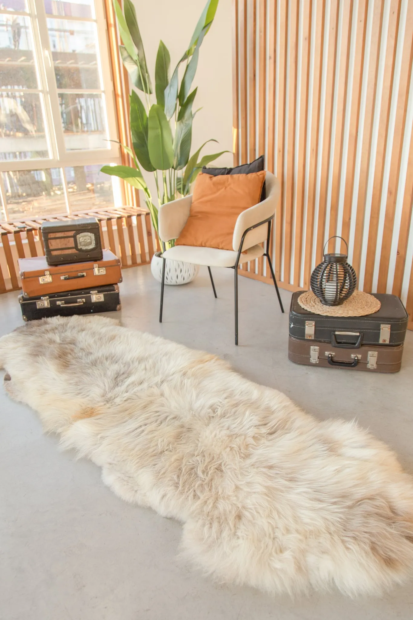 Rug made of two natural sheepskin hides
