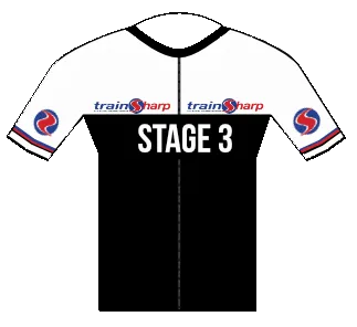 Stage 3 Monthly Fee