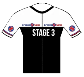 Stage 3 Monthly Fee