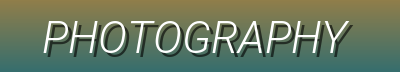 Precision Optics Gallery | Professional Photography Equipment & Specialized Accessories